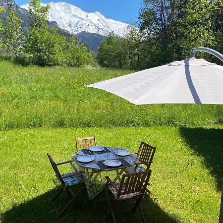 Appartement Lumineux Et Cosy En Rez De Jardin Saint-Gervais-les-Bains Bagian luar foto