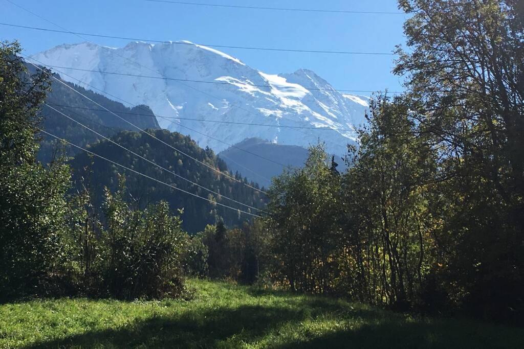 Appartement Lumineux Et Cosy En Rez De Jardin Saint-Gervais-les-Bains Bagian luar foto