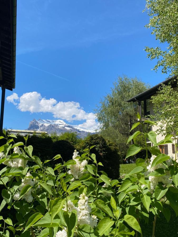 Appartement Lumineux Et Cosy En Rez De Jardin Saint-Gervais-les-Bains Bagian luar foto